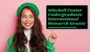 Read more about the article Mitchell Center Undergraduate International Research Grants in USA