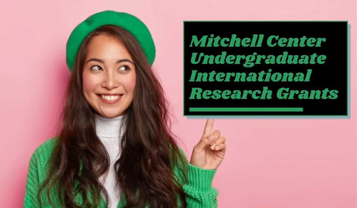 You are currently viewing Mitchell Center Undergraduate International Research Grants in USA