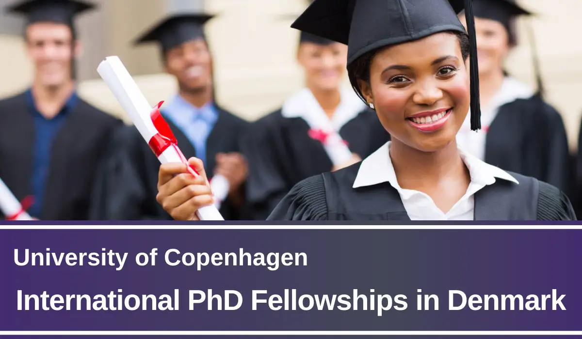 You are currently viewing International PhD Fellowships in Respiratory Physiology, Denmark