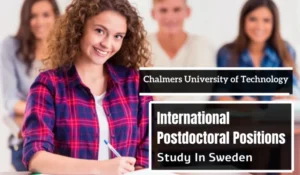 Read more about the article International Postdoctoral Positions in Digitalized English-Medium Instruction, Sweden
