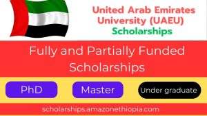 Read more about the article UAE University Scholarship 2025 | Fully and Partially Funded Scholarships