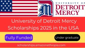 Read more about the article University of Detroit Mercy Scholarships 2025 in the USA (Funded)