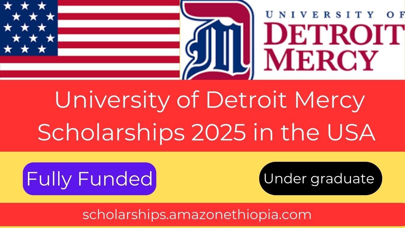 You are currently viewing University of Detroit Mercy Scholarships 2025 in the USA (Funded)