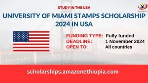 Read more about the article University of Miami Stamps Scholarship 2024-25 | Fully Funded Undergraduate Scholarship in the USA