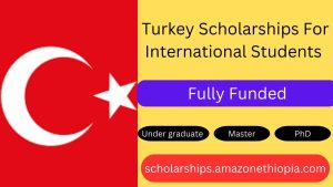 Read more about the article List of Turkey Scholarships For International Students (Fully Funded)