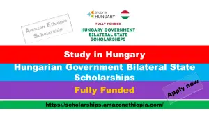 Read more about the article Bilateral State Scholarships 2025 in Hungary (Fully Funded)