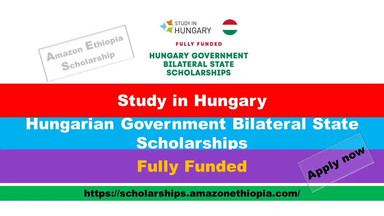 You are currently viewing Bilateral State Scholarships 2025 in Hungary (Fully Funded)