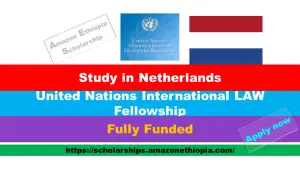 Read more about the article United Nations International LAW Fellowship 2025 in Netherlands (Fully Funded)