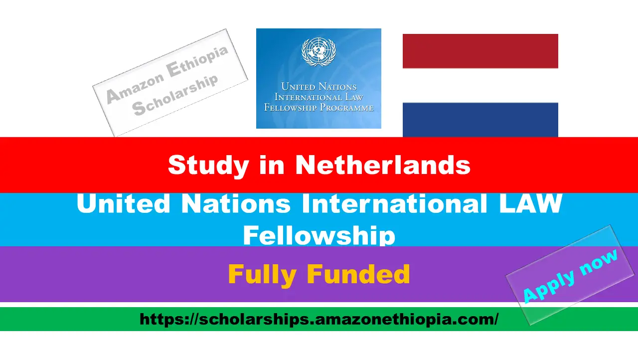 You are currently viewing United Nations International LAW Fellowship 2025 in Netherlands (Fully Funded)