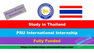 Read more about the article PSU International Internship 2025 for International Students: