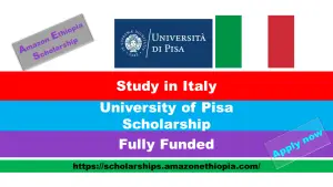 Read more about the article University of Pisa Scholarship 2024-25 in Italy (Fully Funded)