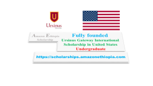 Read more about the article Ursinus Gateway International Scholarship 2025 in United States (Funded)