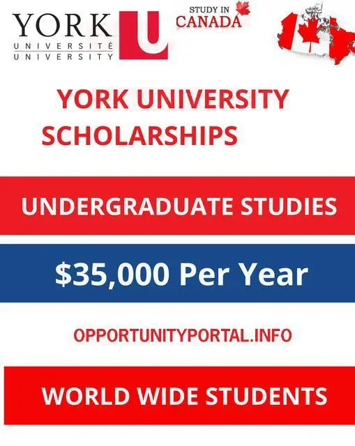 You are currently viewing York University International Scholarship In Canada 2025 (Funded)