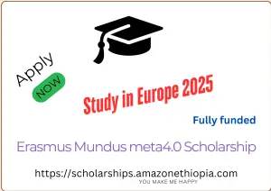 Read more about the article Erasmus Mundus meta4.0 Scholarship in Europe 2025 | Fully Funded