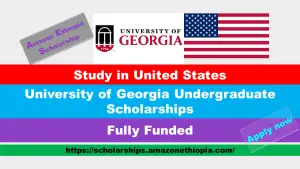 Read more about the article University of Georgia Undergraduate Scholarships 2025 in USA (Funded)