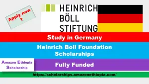 Read more about the article Heinrich Boll Foundation Scholarships 2025 in Germany (Funded)