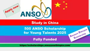 Read more about the article 500 ANSO Scholarship for Young Talents 2025 in China (Fully Funded)