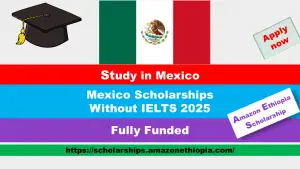 Read more about the article Mexico Scholarships Without IELTS 2025 | Fully Funded