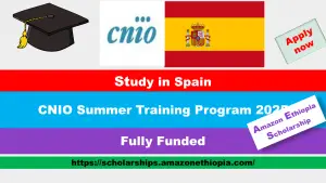 Read more about the article CNIO Summer Training Program 2025 in Spain (Fully Funded)