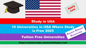 Read more about the article 10 Universities in USA Where Study is Free 2025 | Tuition Free Universities in USA