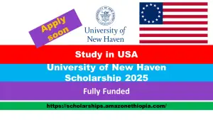 Read more about the article University of New Haven Scholarship 2025 in USA (Funded)