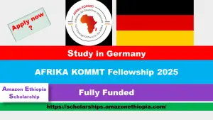 Read more about the article AFRIKA KOMMT Fellowship 2025 in Germany | Fully Funded