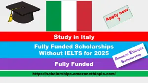 Read more about the article Fully Funded Italian Scholarships Without IELTS 2025 | Study Free in Italy