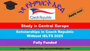 Read more about the article Scholarships in Czech Republic Without IELTS 2025 (BS, MS, PhD)